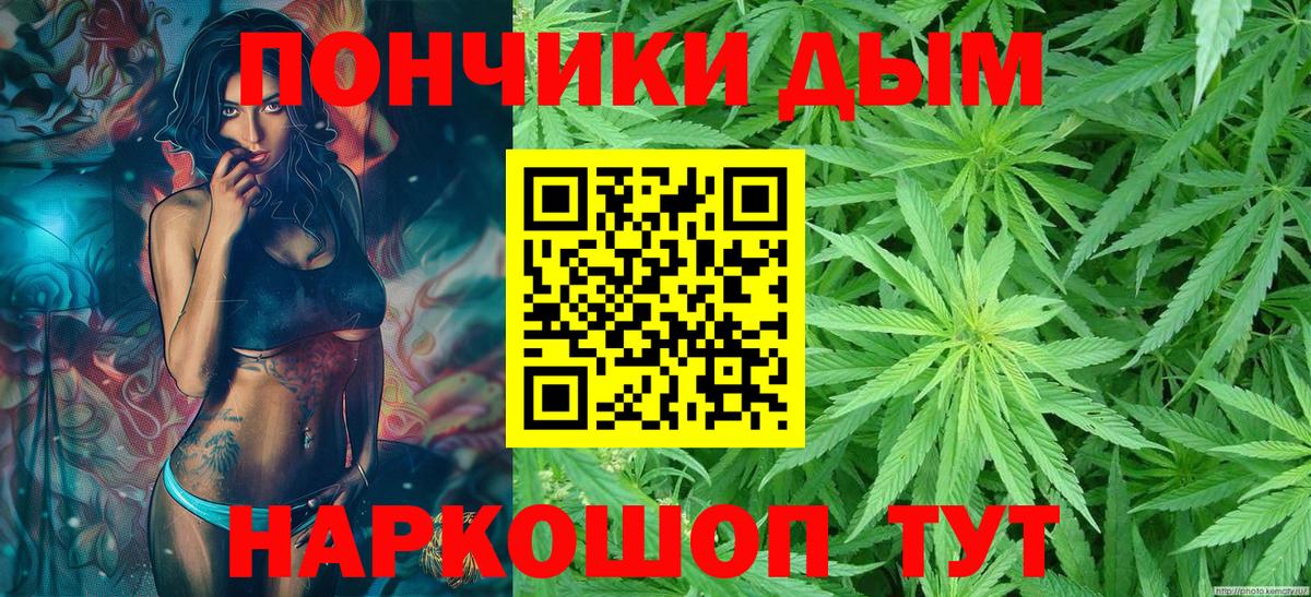 Бошки Шишки конопля Сосновый Бор